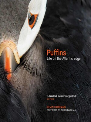 Puffins - ebook